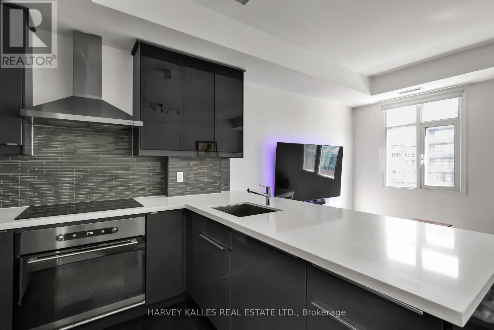 Ph29 - 500 Richmond Street W, Toronto, Ontario  M5V 3N4 - Photo 18 - C13021034