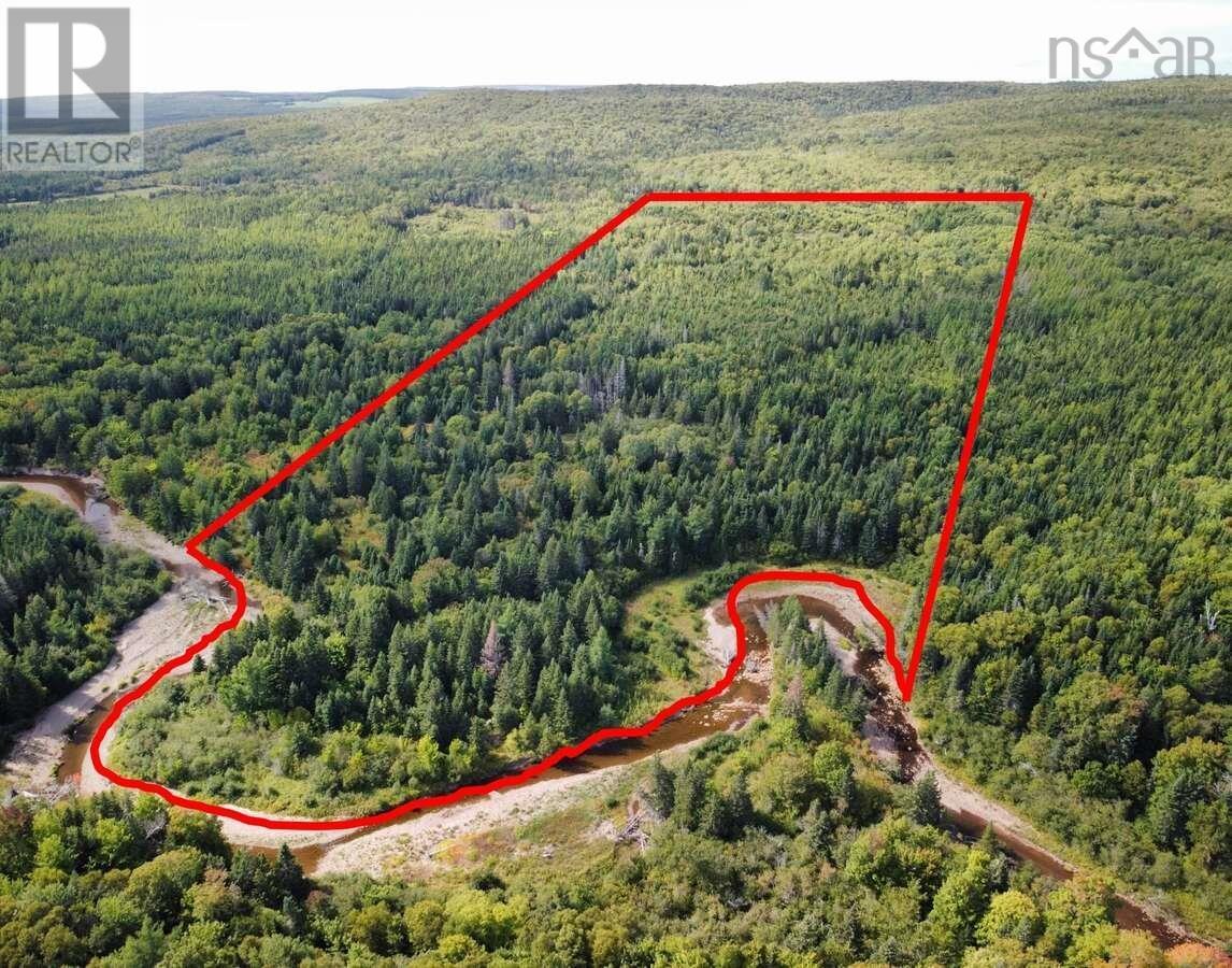 Pid 50023084 Mull River Road, Mabou, Nova Scotia  B0E 1X0 - Photo 1 - 202524656