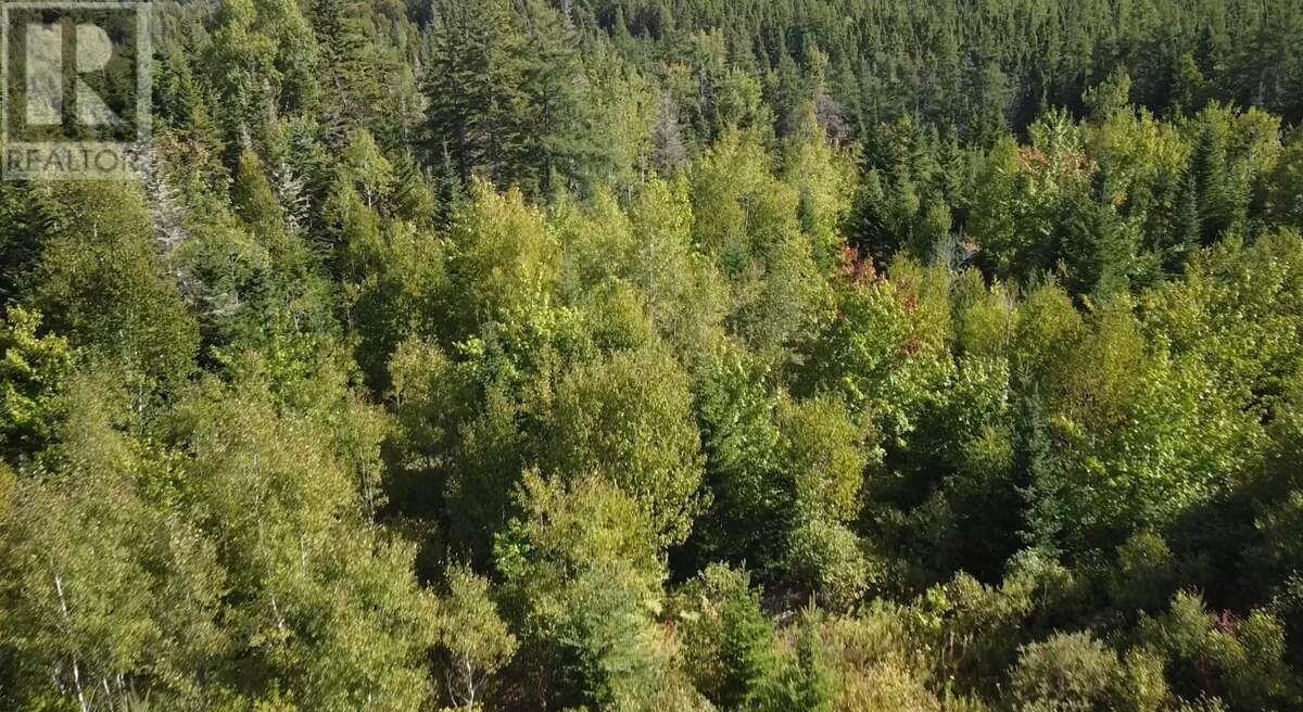 Pid 50023084 Mull River Road, Mabou, Nova Scotia  B0E 1X0 - Photo 5 - 202524656