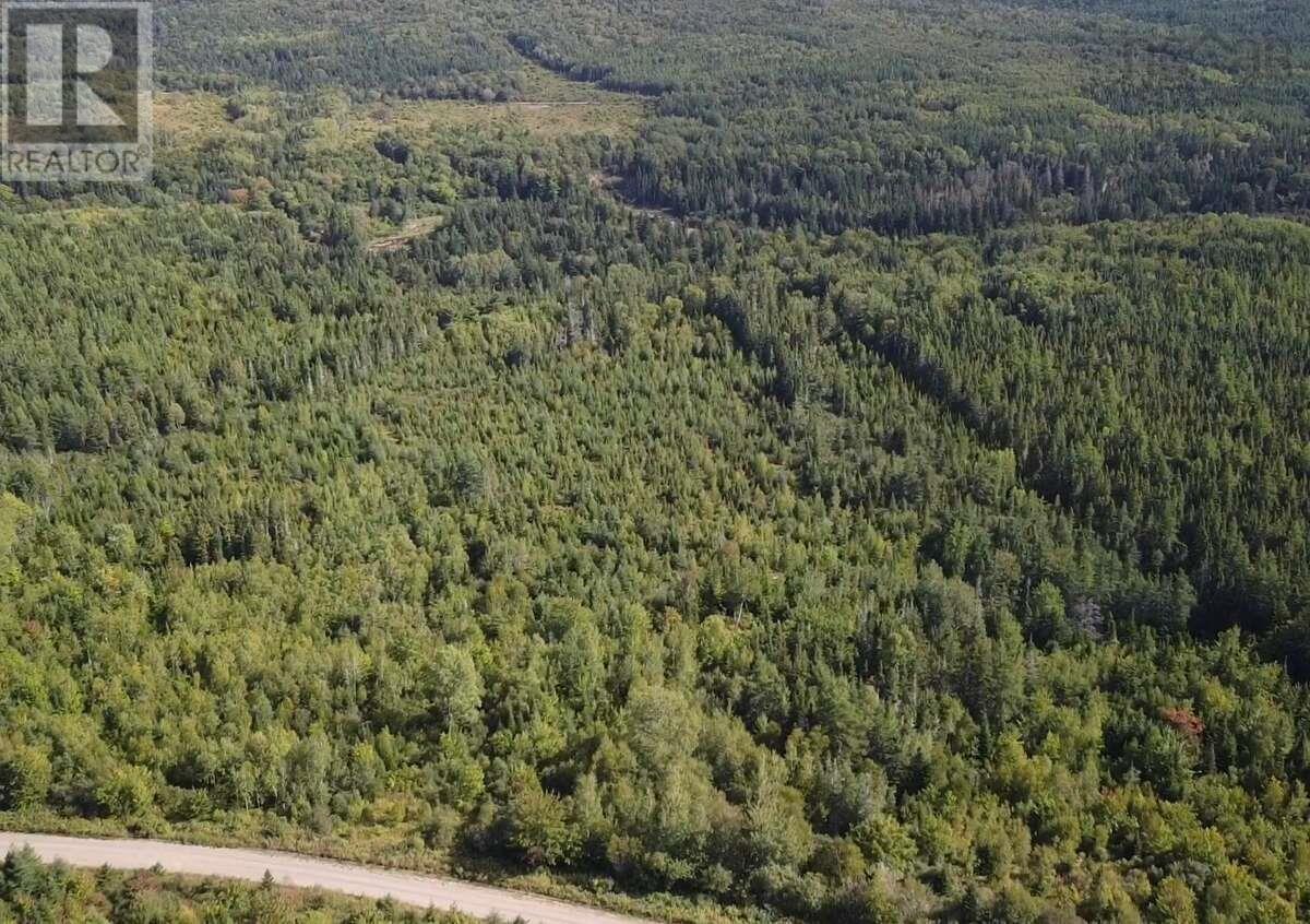Pid 50023084 Mull River Road, Mabou, Nova Scotia  B0E 1X0 - Photo 6 - 202524656
