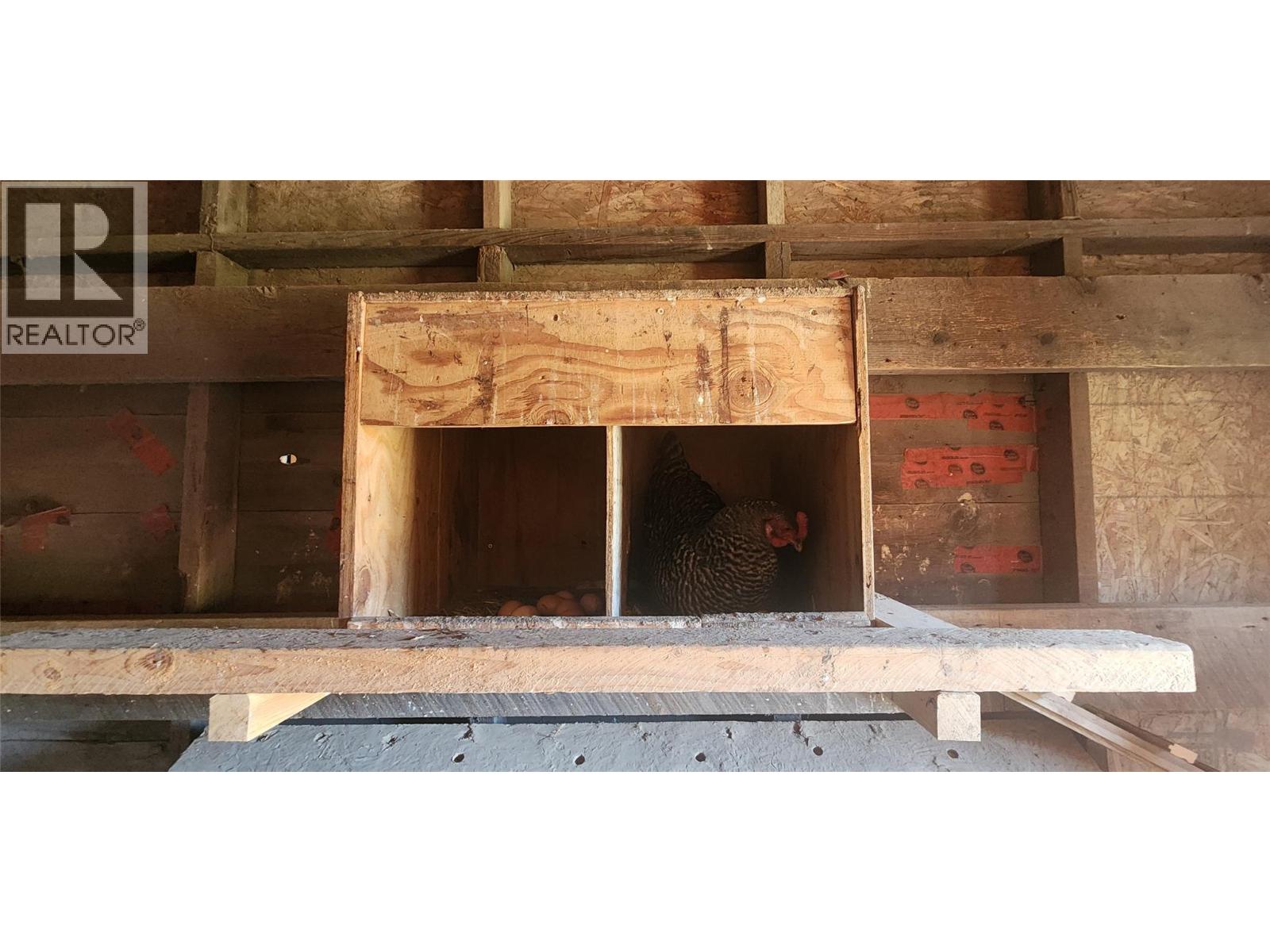 3450 Hardy Mountain Road, Grand Forks, British Columbia  V0H 1H2 - Photo 73 - 10361869