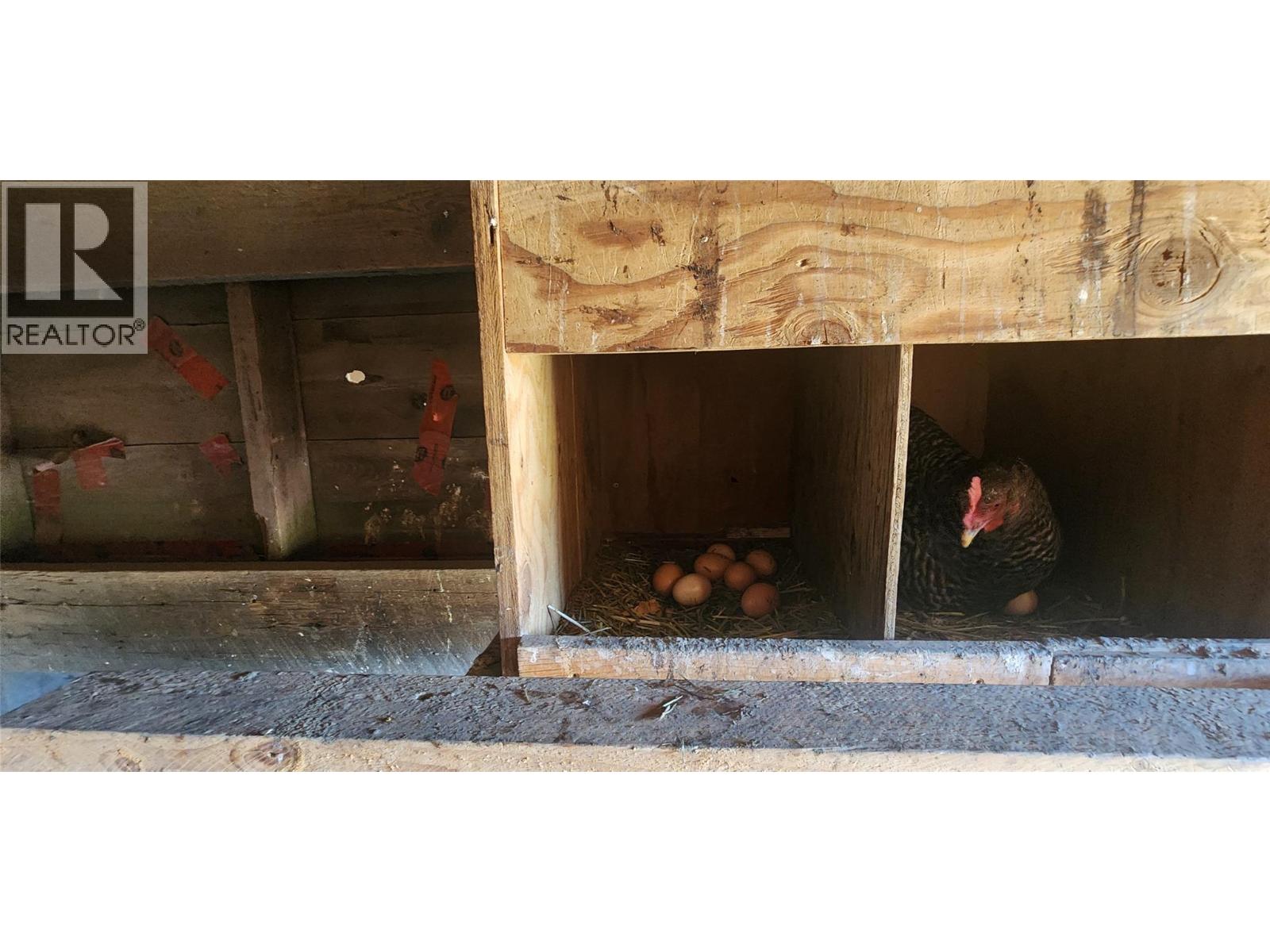 3450 Hardy Mountain Road, Grand Forks, British Columbia  V0H 1H2 - Photo 74 - 10361869