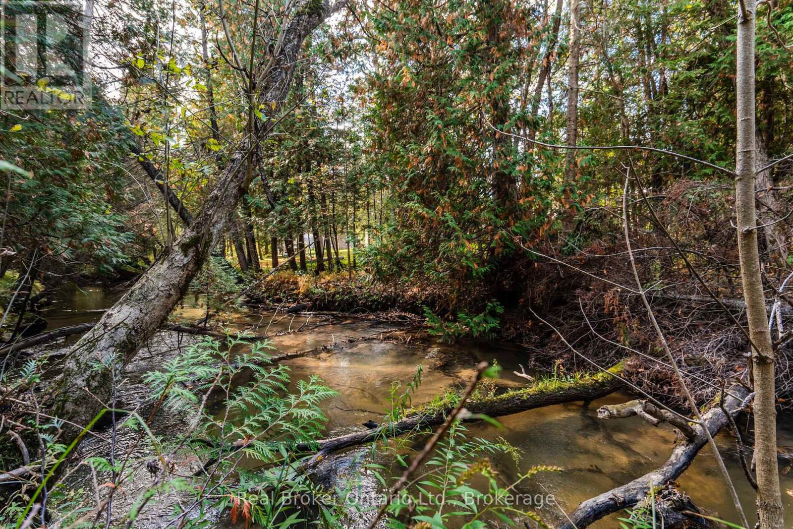 1076 Beaver Lane, Springwater, Ontario  L9X 0M1 - Photo 44 - S12812568
