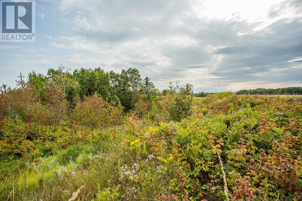 West Side Maclennan Rd/south Side Government Rd, Property 4, Township Of Tarbutt, Ontario  P0R 1E0 - Photo 18 - SM252803