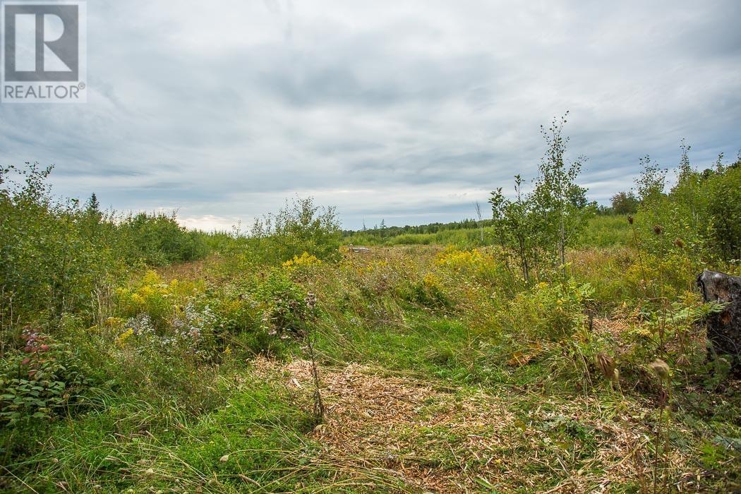 Rydall Mill Road North Side, Property 7, Township Of Laird, Ontario  P0R 1E0 - Photo 23 - SM252806