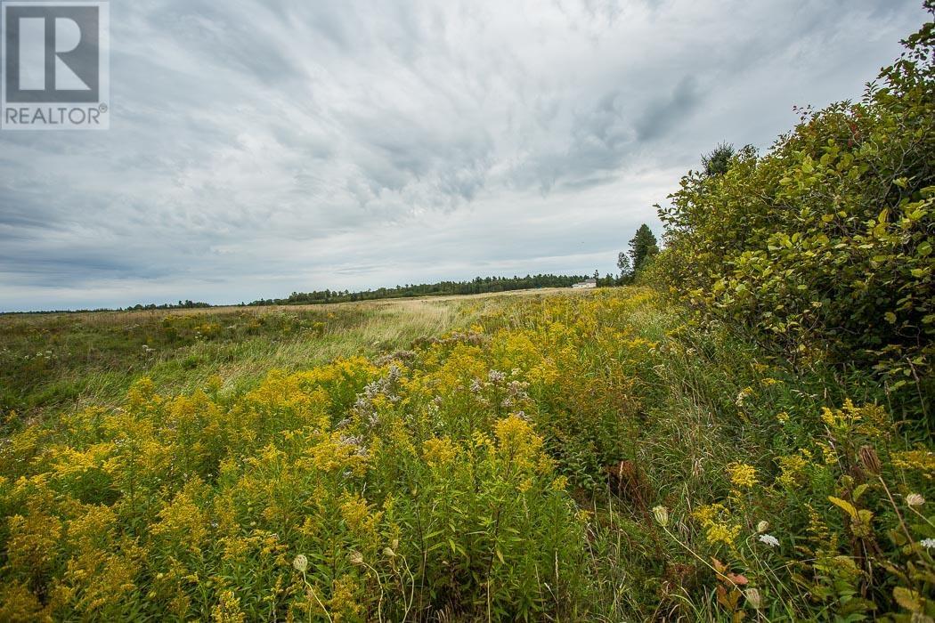Rydall Mill Road North Side, Property 7, Township Of Laird, Ontario  P0R 1E0 - Photo 20 - SM252806