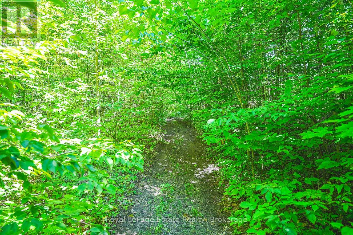 Lot 2 Sixth Street, South Bruce Peninsula, Ontario  N0H 2G0 - Photo 4 - X13021420