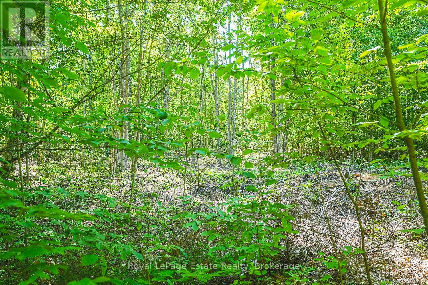 Lot 2 Sixth Street, South Bruce Peninsula, Ontario  N0H 2G0 - Photo 6 - X13021420