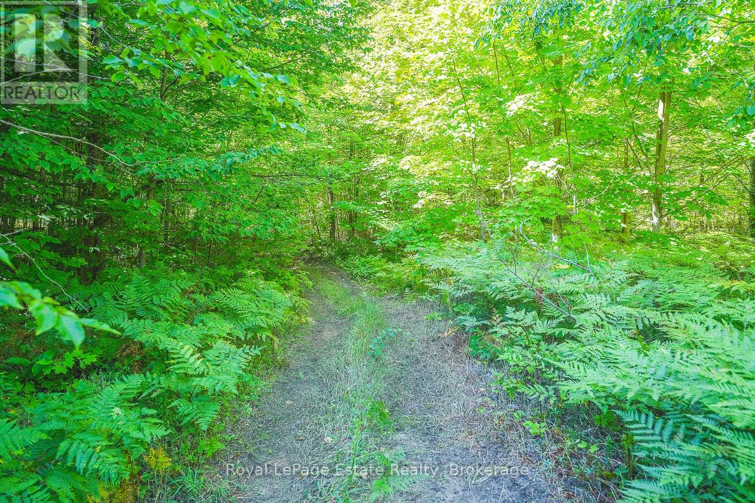 Lot 3 Sixth Street, South Bruce Peninsula, Ontario N0H 2G0 - Photo 3 - X13021422