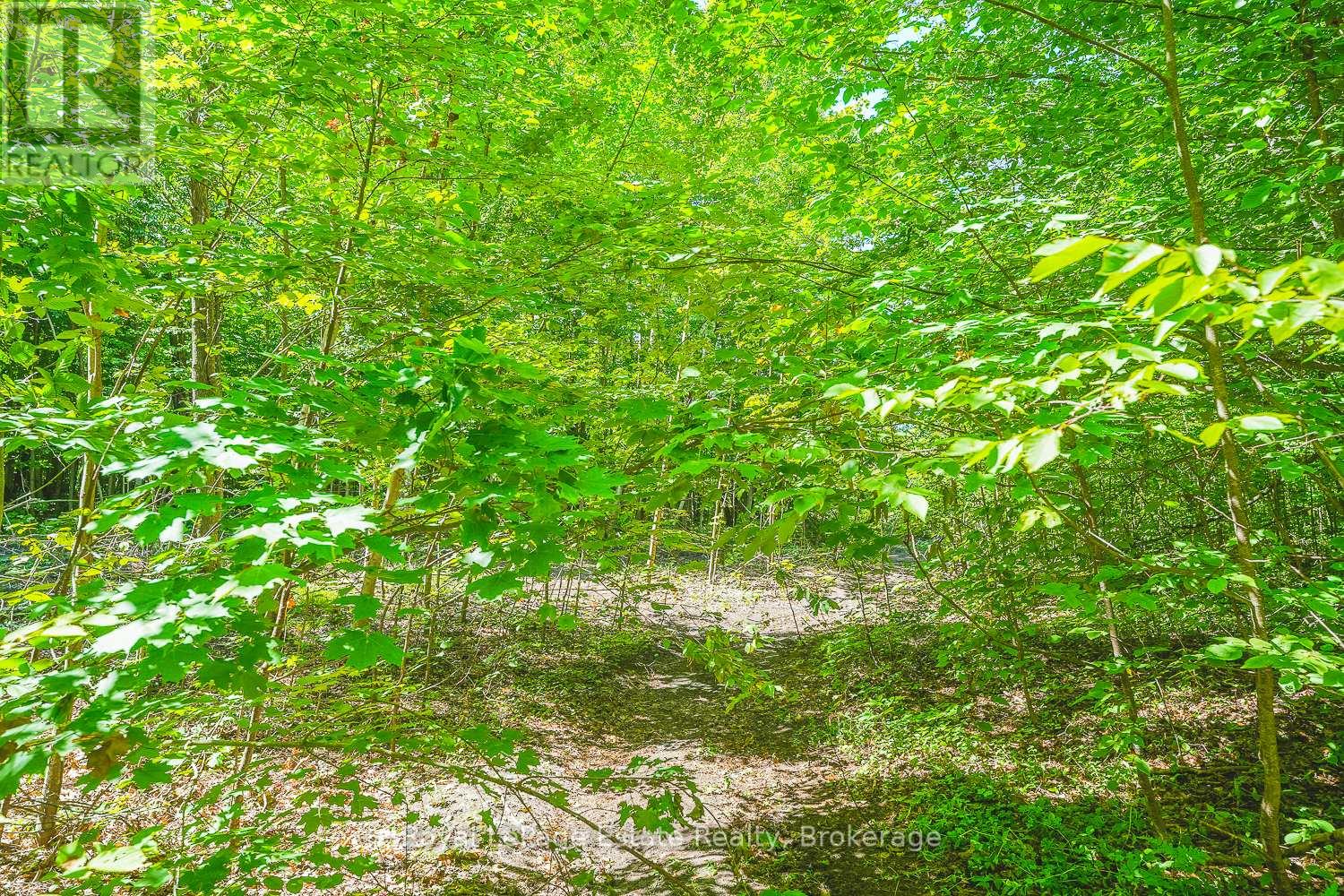 Lot 3 Sixth Street, South Bruce Peninsula, Ontario N0H 2G0 - Photo 6 - X13021422