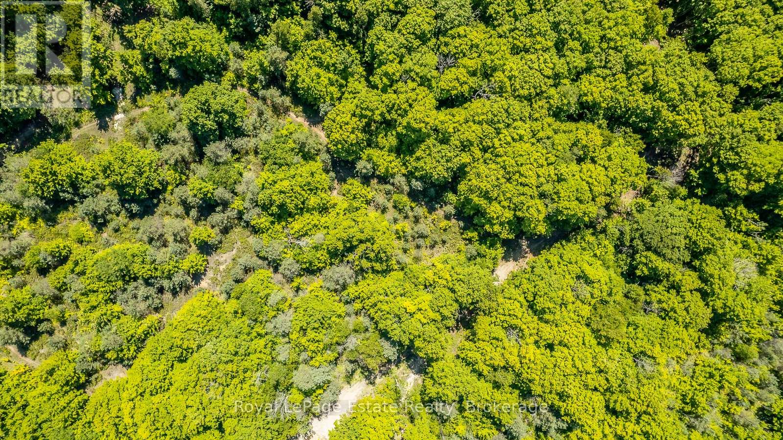 Lot 3 Sixth Street, South Bruce Peninsula, Ontario N0H 2G0 - Photo 9 - X13021422