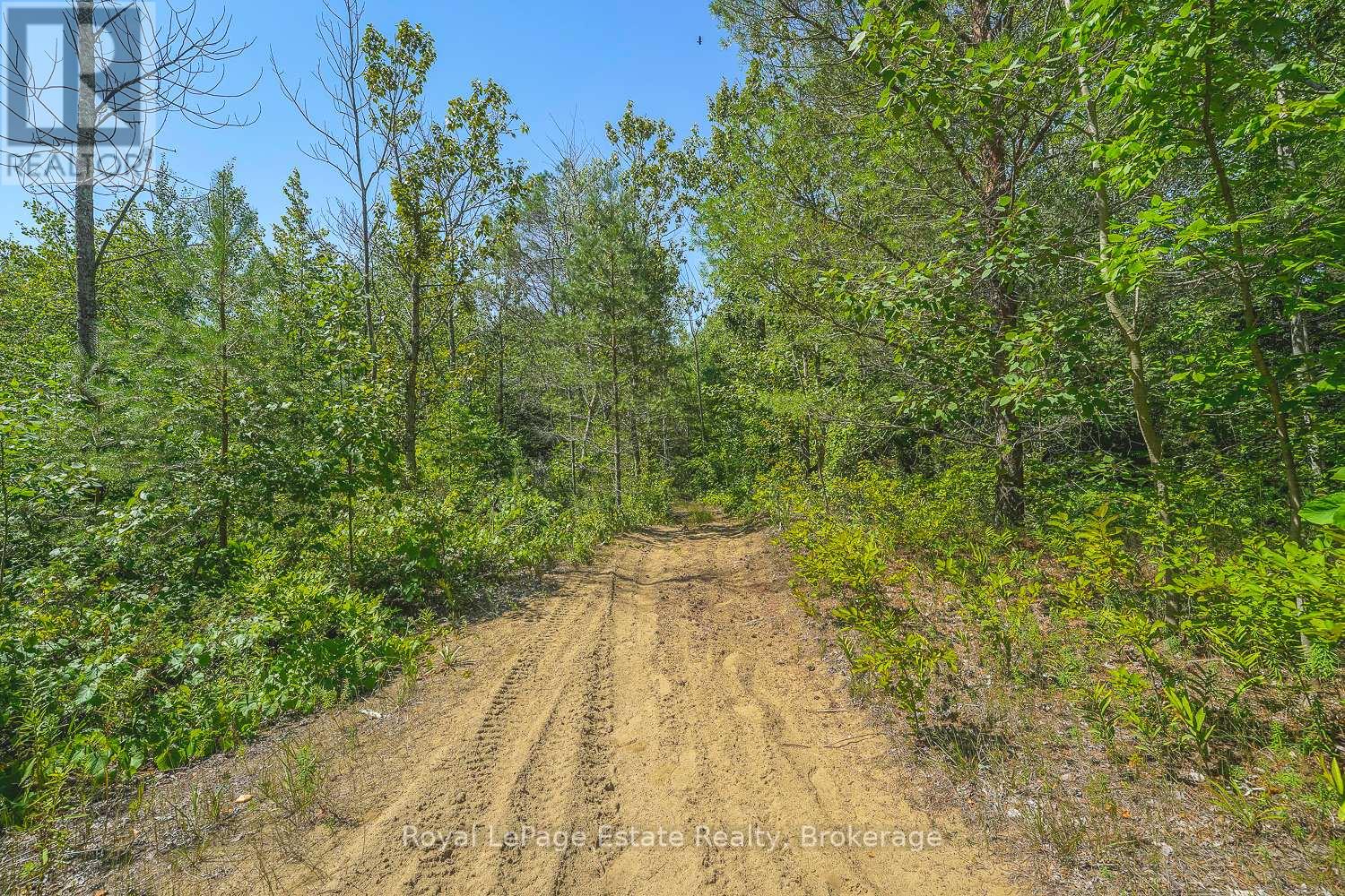 Lot 4 Sixth Street, South Bruce Peninsula, Ontario  N0H 2G0 - Photo 7 - X13021426