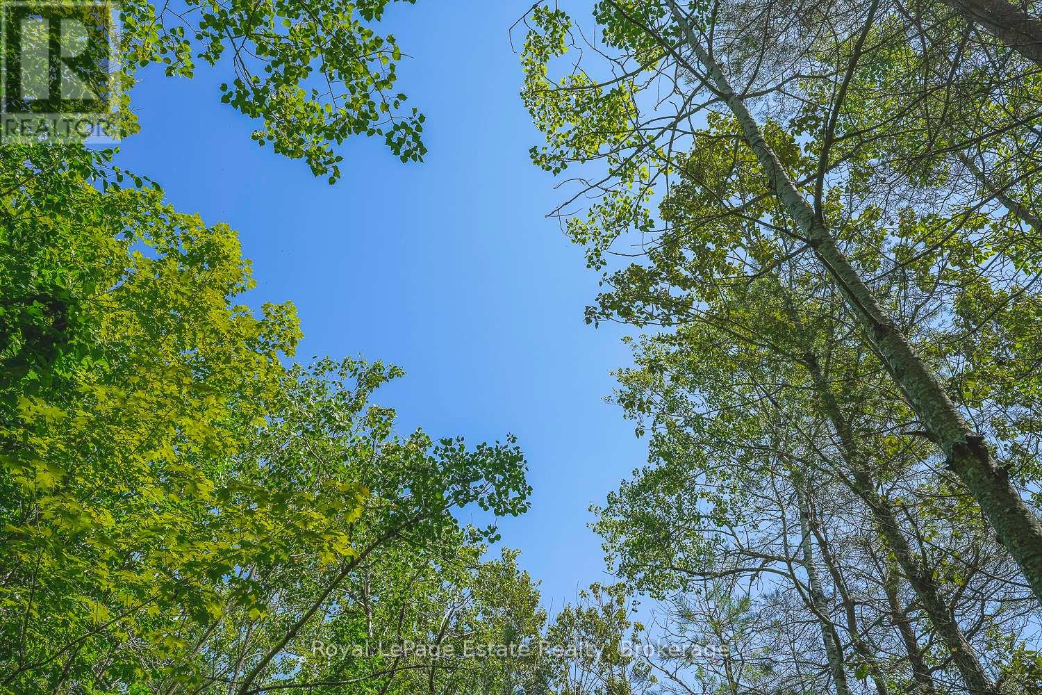 Lot 5 Sixth Street, South Bruce Peninsula, Ontario  N0H 2G0 - Photo 6 - X13021432