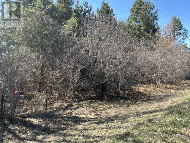 0000 County Road 16 Road, Merrickville-Wolford, Ontario  K0G 1N0 - Photo 6 - X13021208