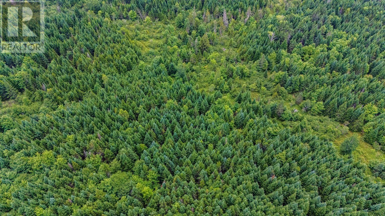 676 Westchester Road, Sutherland Lake, Nova Scotia  B0M 1G0 - Photo 15 - 202607378