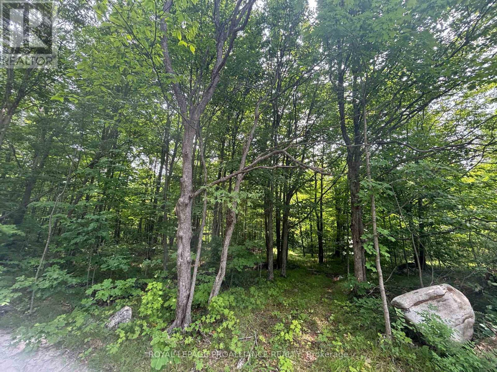 Severed B - 554 Pigden Road, Madoc, Ontario  K0K 2K0 - Photo 3 - X13021500