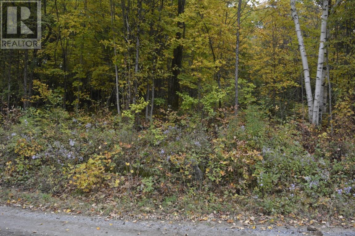 Ptlt 61 Old Hastings Road, Wollaston, Ontario  K0L 1P0 - Photo 5 - X13021570