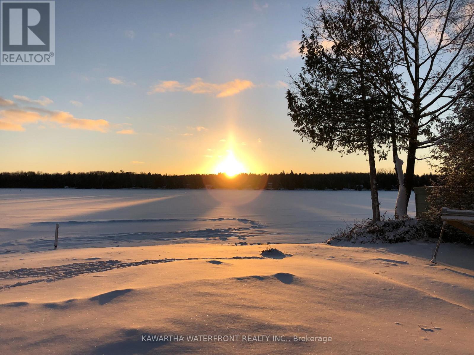 26 Greenwood Crescent, Kawartha Lakes, Ontario  K0M 1T0 - Photo 30 - X13021586