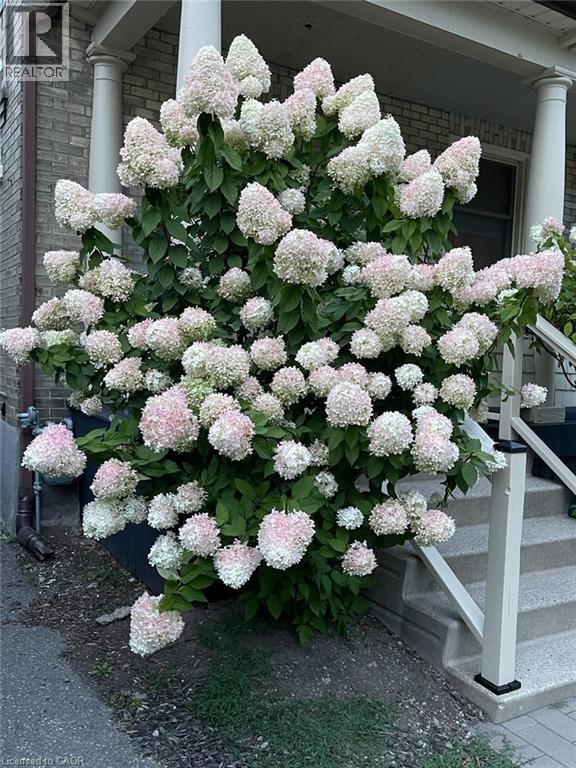 18 Theresa Street, Kitchener, Ontario  N2G 1M1 - Photo 47 - 40819557