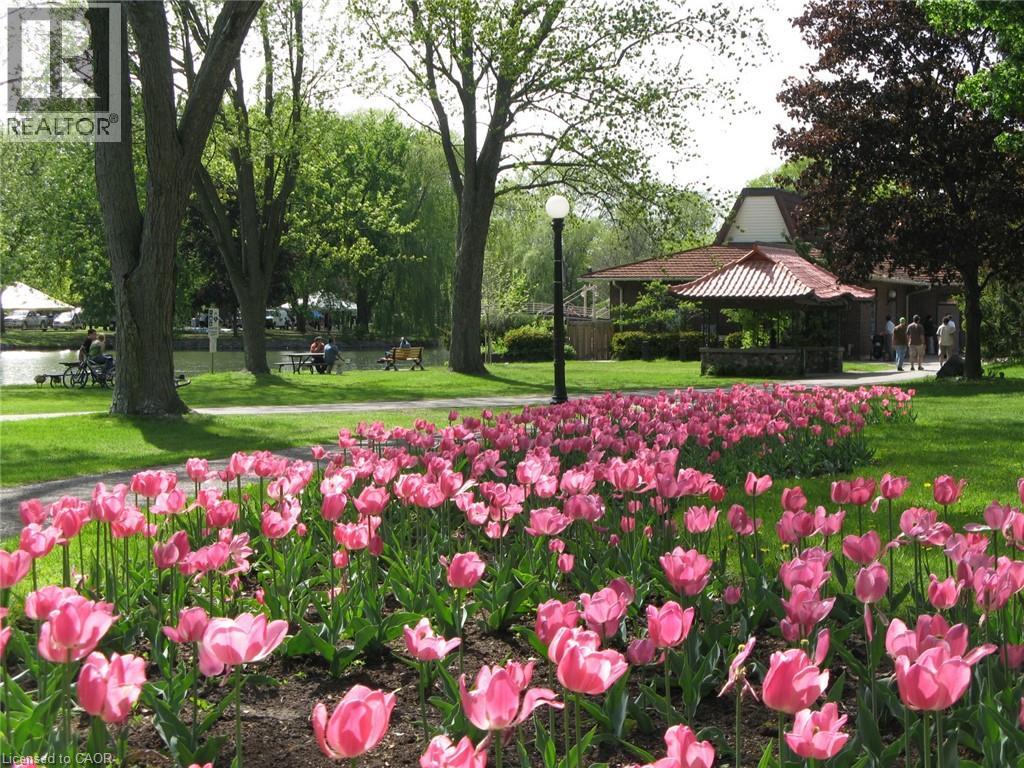 18 Theresa Street, Kitchener, Ontario  N2G 1M1 - Photo 50 - 40819557