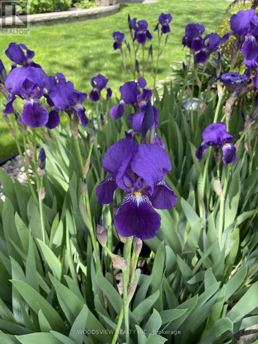 899 Voyager Avenue, Pickering, Ontario  L1V 7G2 - Photo 42 - E13021544