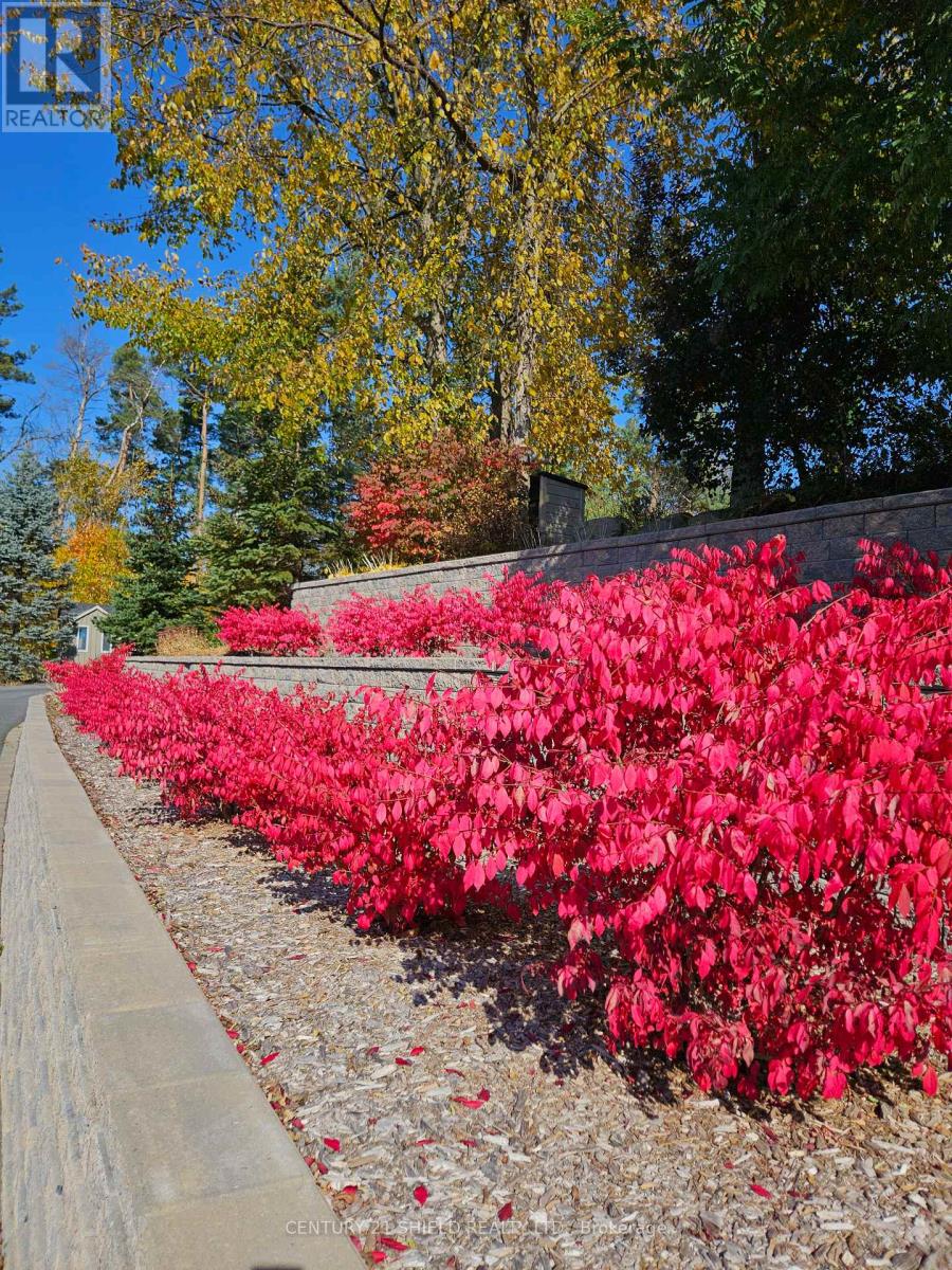 1 Forest Hill Road, South Stormont, Ontario  K0C 1P0 - Photo 50 - X13021522