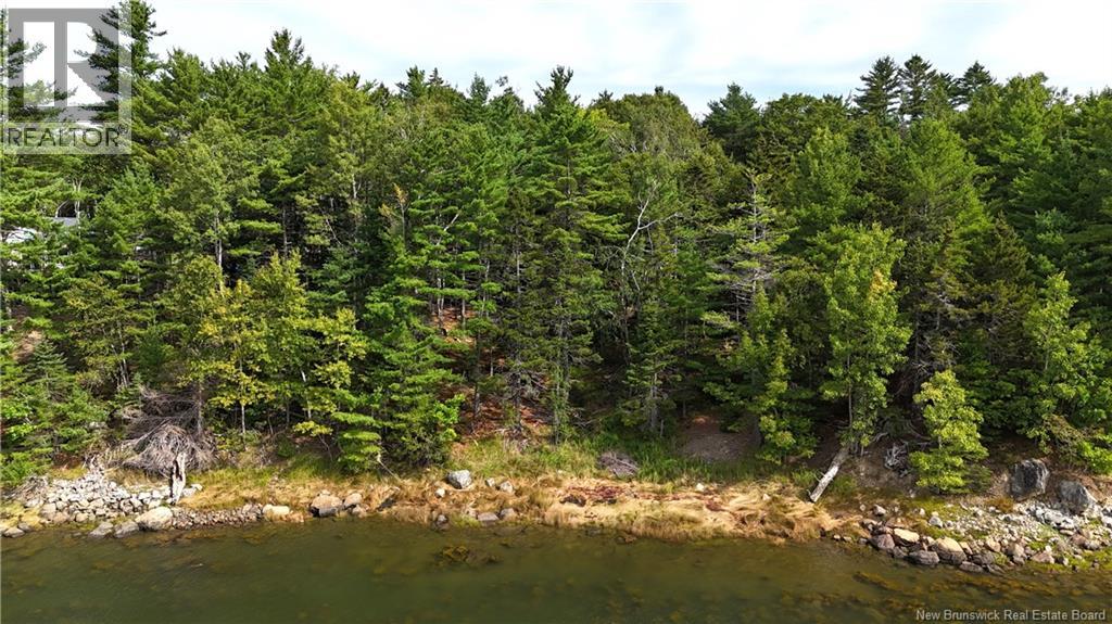 135 Pine Point Road, Dufferin, New Brunswick  E3L 0G7 - Photo 43 - NB131699