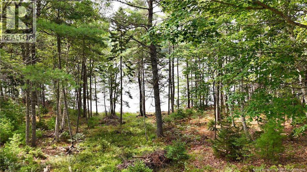 135 Pine Point Road, Dufferin, New Brunswick  E3L 0G7 - Photo 3 - NB131699