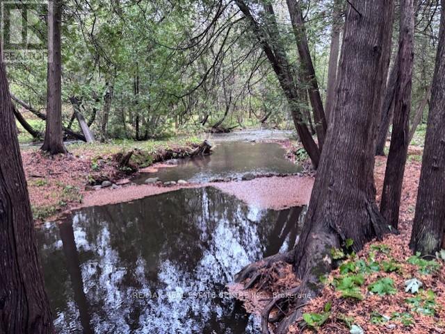 Rd - 16 Cedar Lane, Mono, Ontario  L9W 6C8 - Photo 38 - X13021482