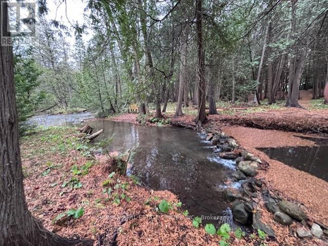Rd - 16 Cedar Lane, Mono, Ontario  L9W 6C8 - Photo 39 - X13021482