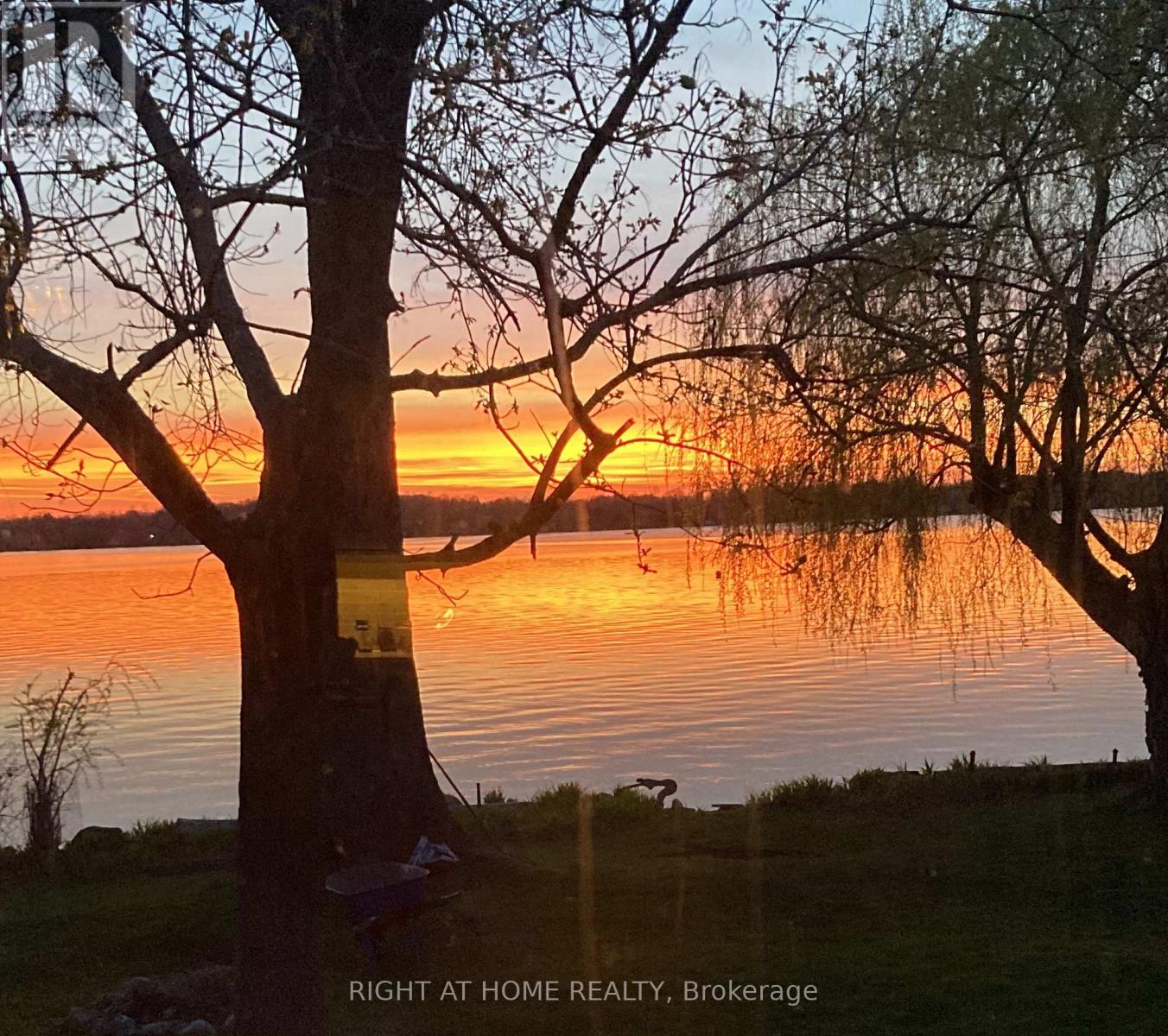 28 Birch Island Road, Scugog, Ontario  L0B 1K0 - Photo 35 - E12655742