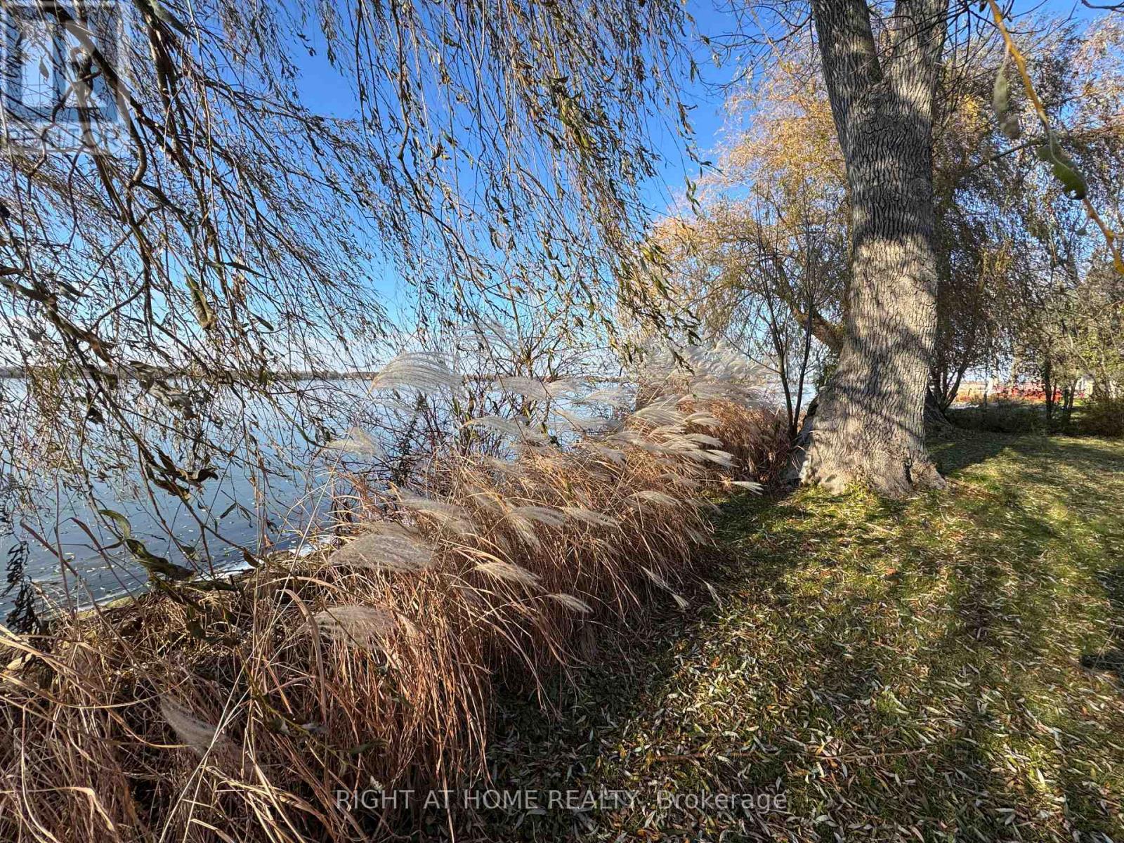 28 Birch Island Road, Scugog, Ontario  L0B 1K0 - Photo 28 - E12655742