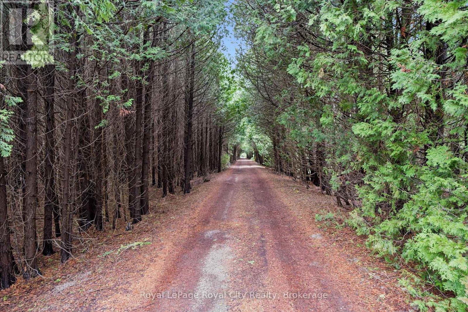 14258 1 Line, Milton, Ontario  N0B 1P0 - Photo 2 - W13021650