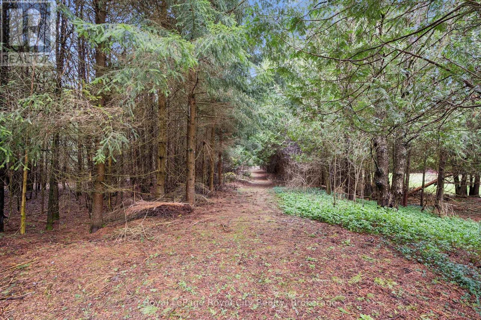 14258 1 Line, Milton, Ontario  N0B 1P0 - Photo 21 - W13021650