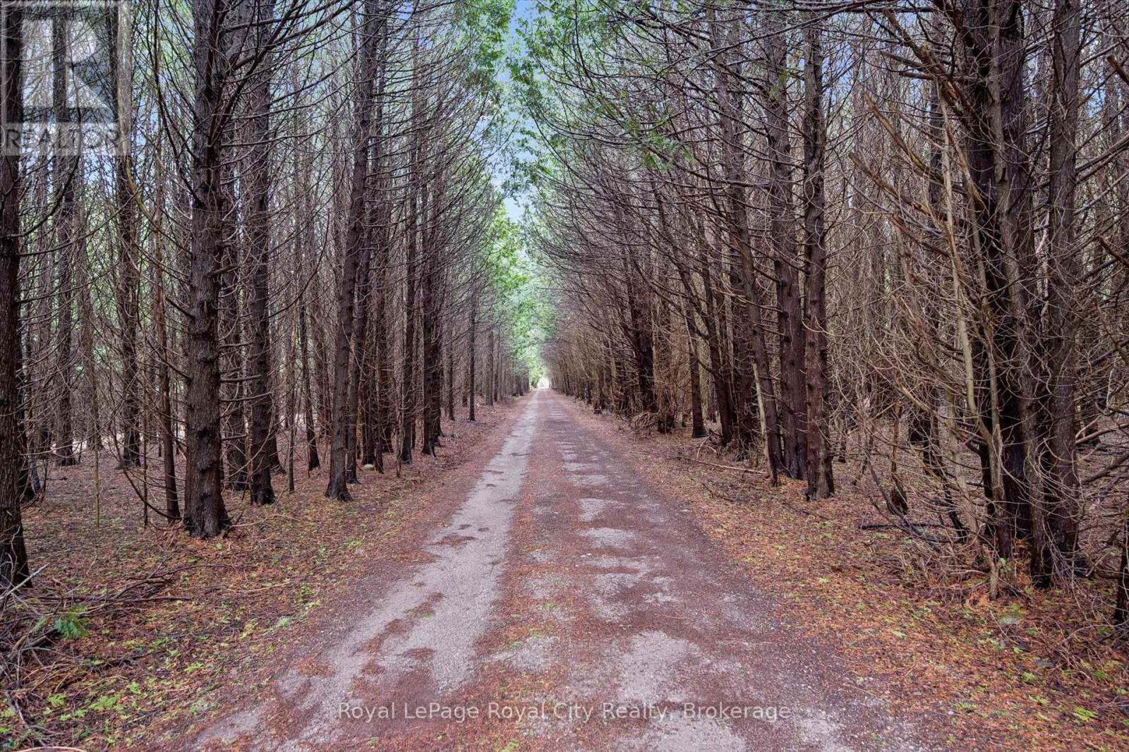 14258 1 Line, Milton, Ontario  N0B 1P0 - Photo 24 - W13021650