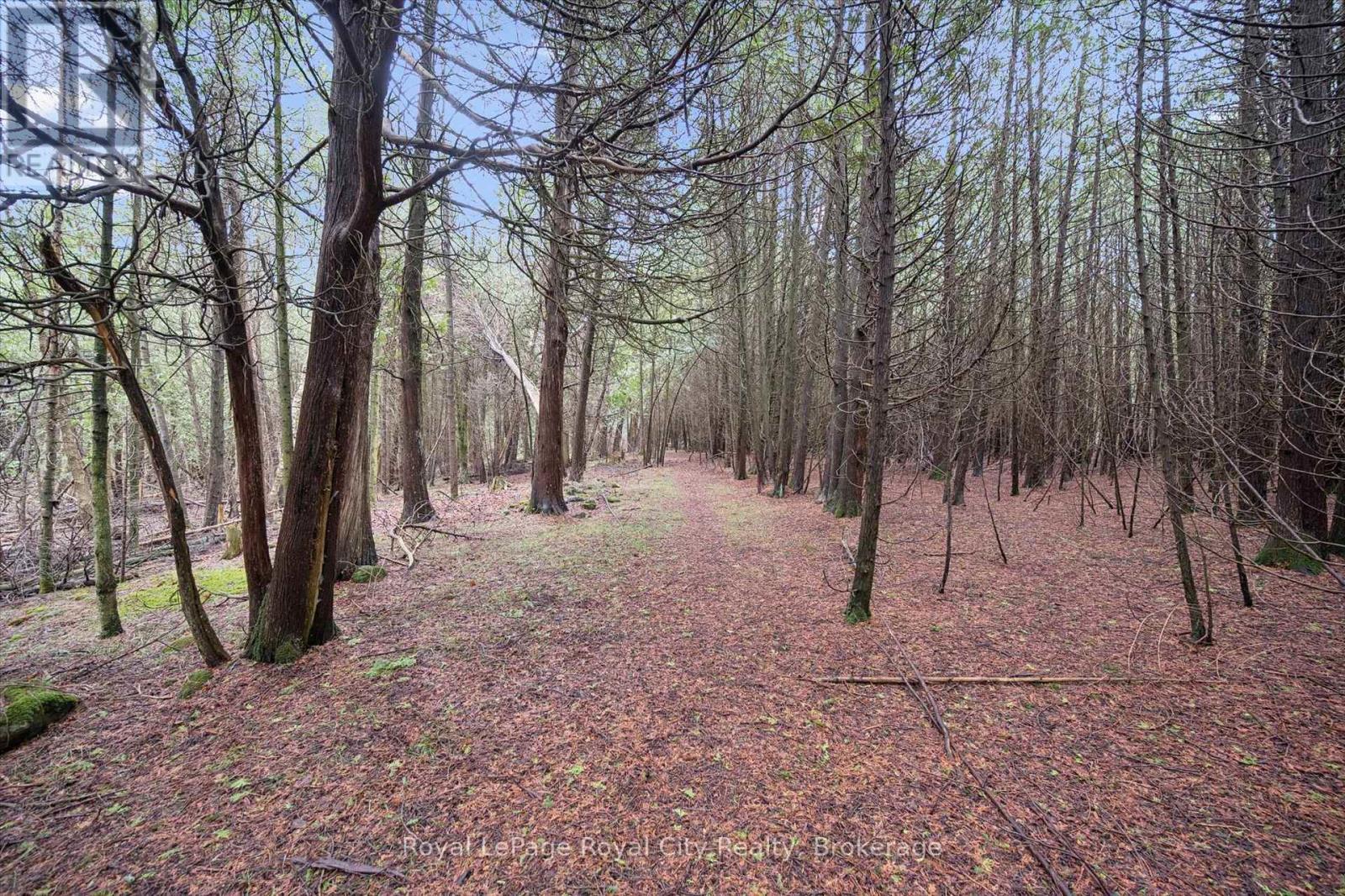 14258 1 Line, Milton, Ontario  N0B 1P0 - Photo 7 - W13021650