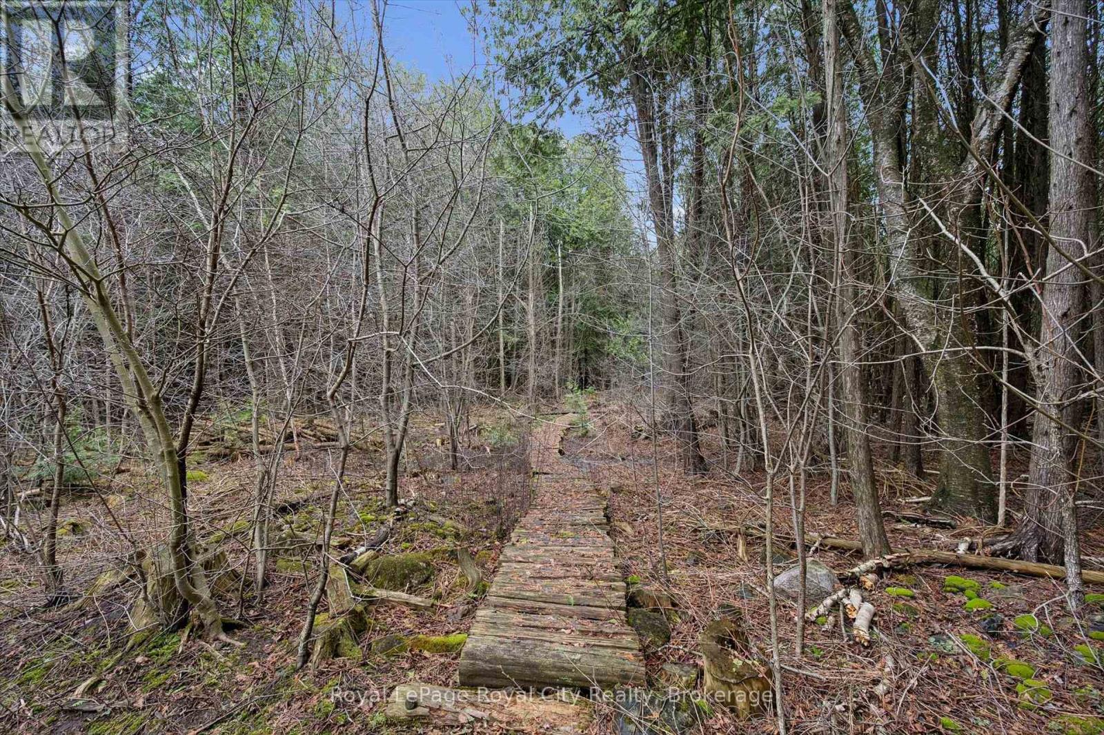 14258 1 Line, Milton, Ontario  N0B 1P0 - Photo 8 - W13021650