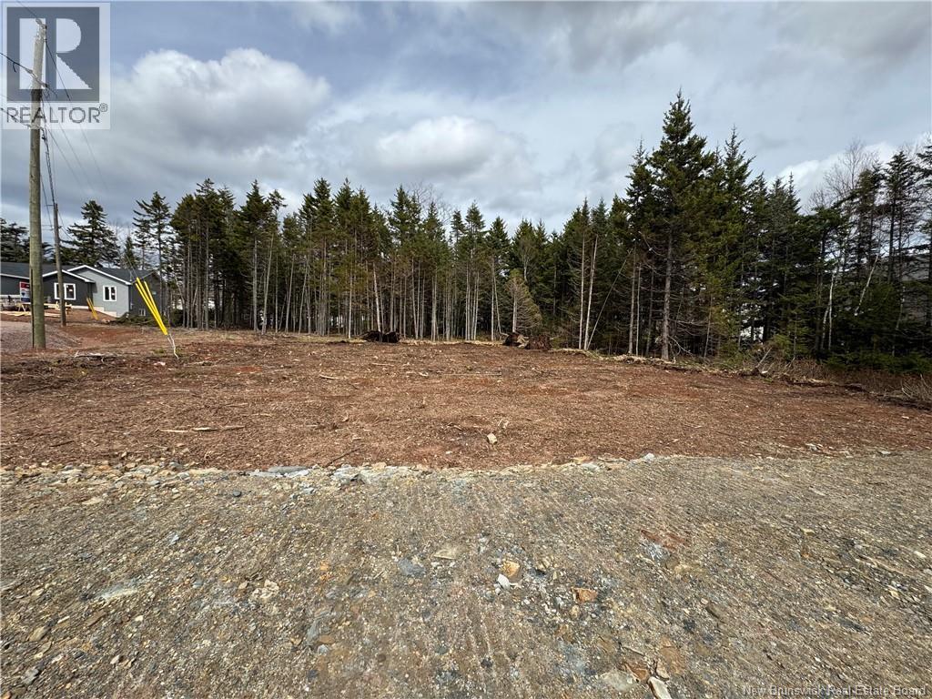 29 Burman Street, Sackville, New Brunswick  E4L 0E7 - Photo 3 - NB132891