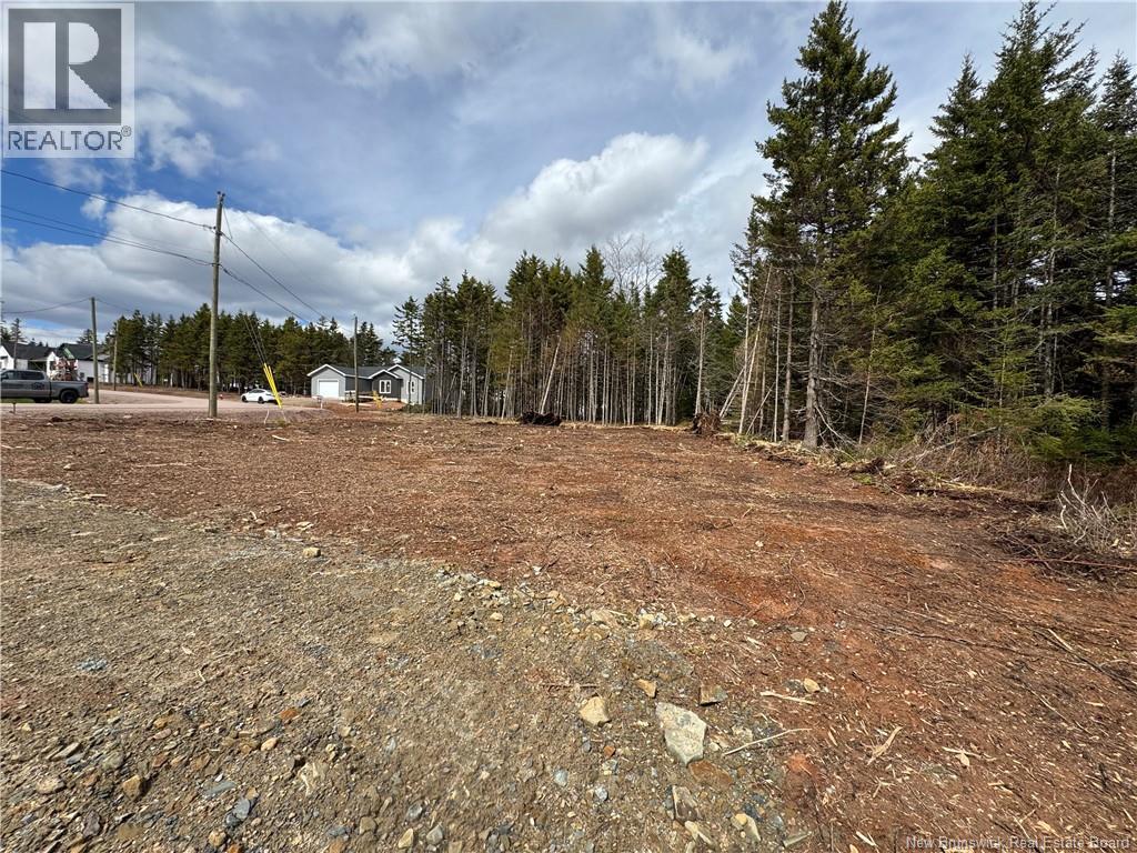 29 Burman Street, Sackville, New Brunswick  E4L 0E7 - Photo 4 - NB132891