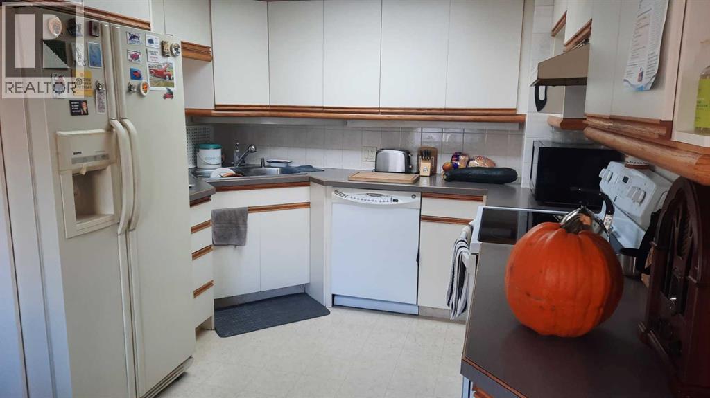 1111 2 Avenue W, Drumheller, Alberta  T0J 0Y2 - Photo 7 - A2302636