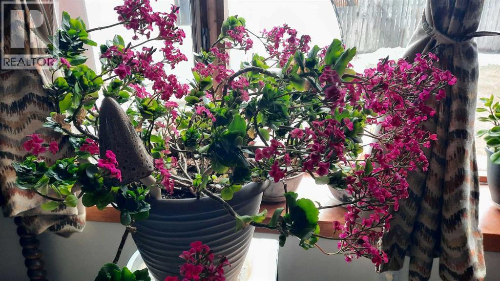 1111 2 Avenue W, Drumheller, Alberta  T0J 0Y2 - Photo 5 - A2302636