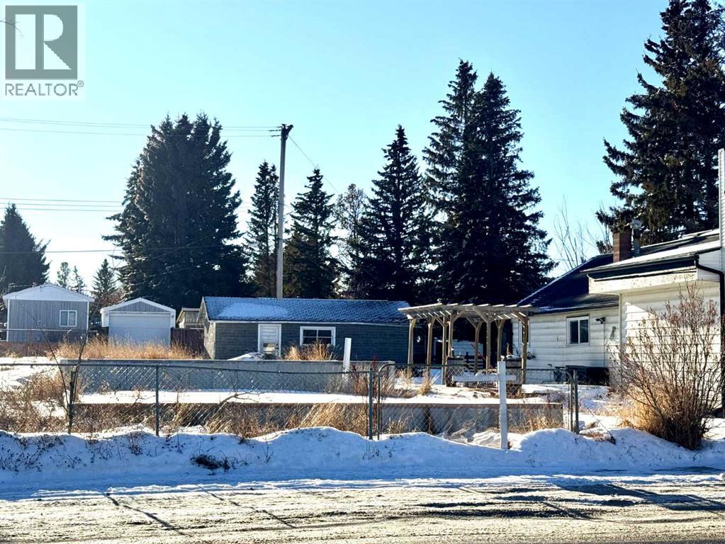 5135 50 Avenue, Caroline, Alberta  T0M 0M0 - Photo 9 - A2131338