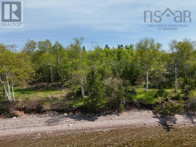 4609 Grand Narrows Highway, Beaver Cove, Nova Scotia  B1T 1P4 - Photo 4 - 202608036