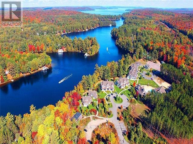 12 Intervals - 1020 Birch Glen Road, Lake Of Bays, Ontario  P0B 1A0 - Photo 9 - X13021834