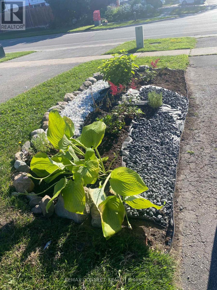 594 Waverly Street N, Oshawa, Ontario  L1J 7G1 - Photo 6 - E13021814