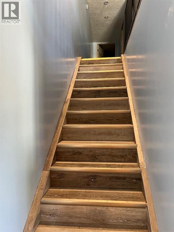 5115 50 Avenue, Caroline, Alberta  T0M 0M0 - Photo 17 - A2290448