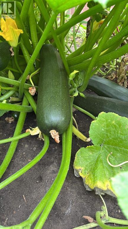 171 Kinniburgh Road, Chestermere, Alberta  T1X 0T8 - Photo 39 - A2283811