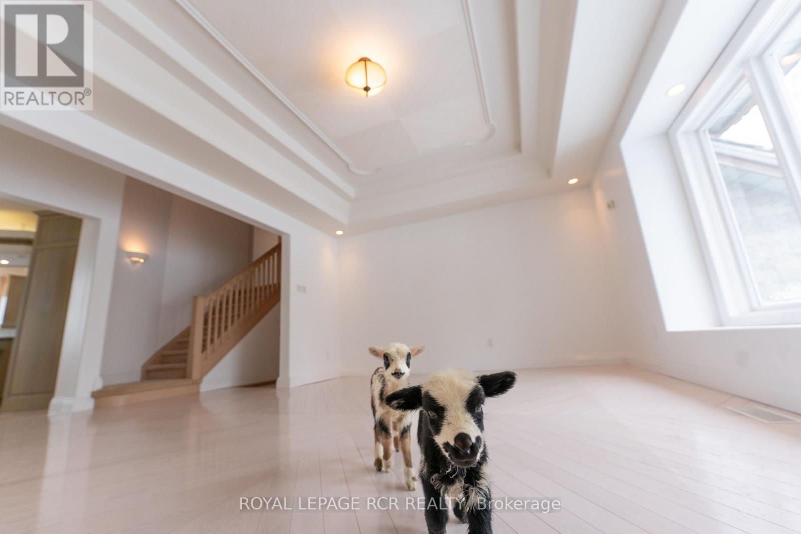 101089 10th Side Road, East Garafraxa, Ontario  L9W 7J9 - Photo 2 - X13021826