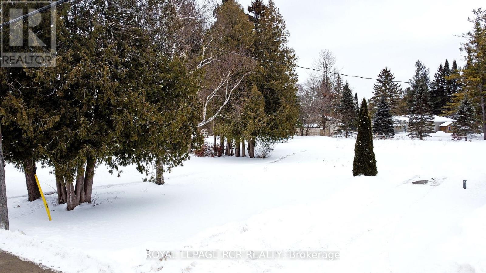 273 Pefferlaw Road, Georgina, Ontario  L0E 1N0 - Photo 6 - N12869646