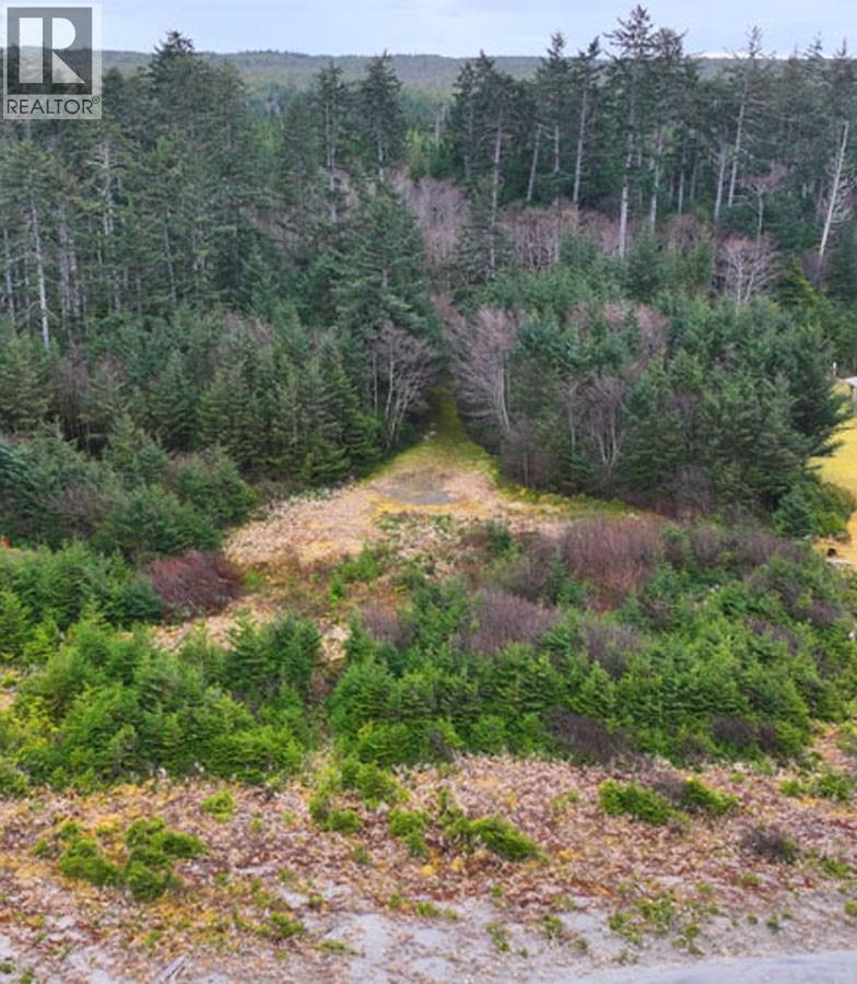 12531 Tow Hill Road, Masset, British Columbia  V0T 1M0 - Photo 17 - R3112988